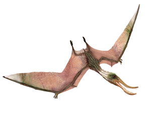 dino dan pterodaustro