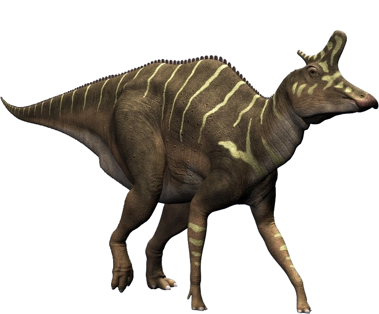 Lambeosaurus Dinosaur Wiki FANDOM powered by Wikia