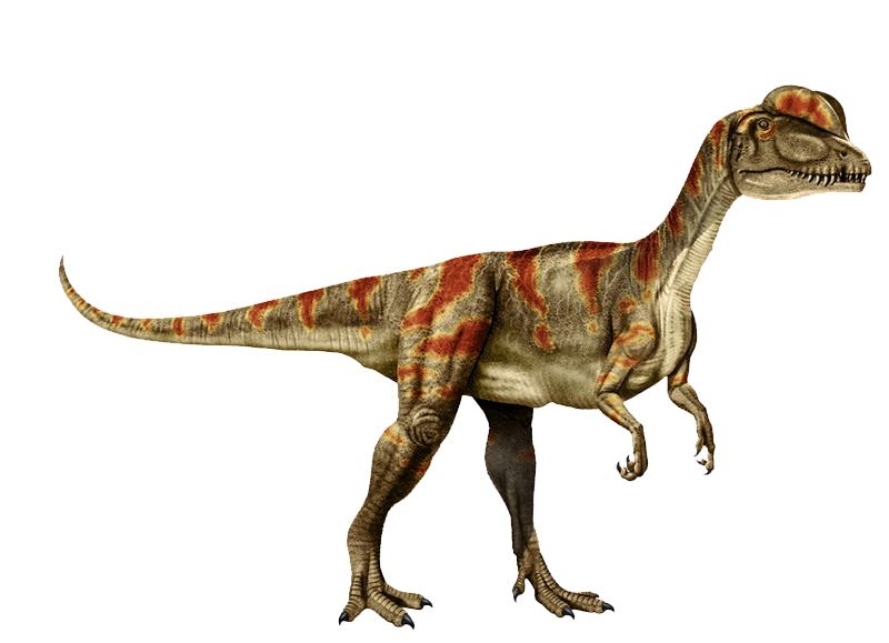 dilophosaurus dinosaur wiki fandom
