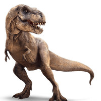 Tyrannosaurus Dinosaur Wiki Fandom