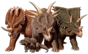 Steve Parker Ceratopsians