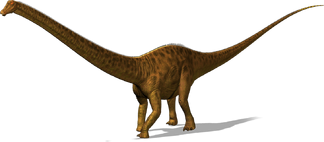 Diplodocus-dino-large