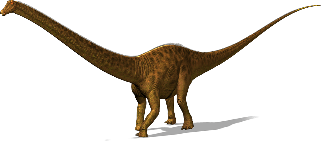 a diplodocus