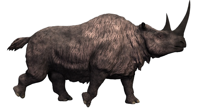 rhino like dinosaur rhino like dinosaur