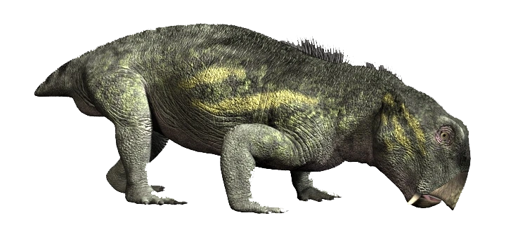 Lystrosaurus Dinosaur Wiki FANDOM powered by Wikia