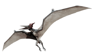JW pteranodon