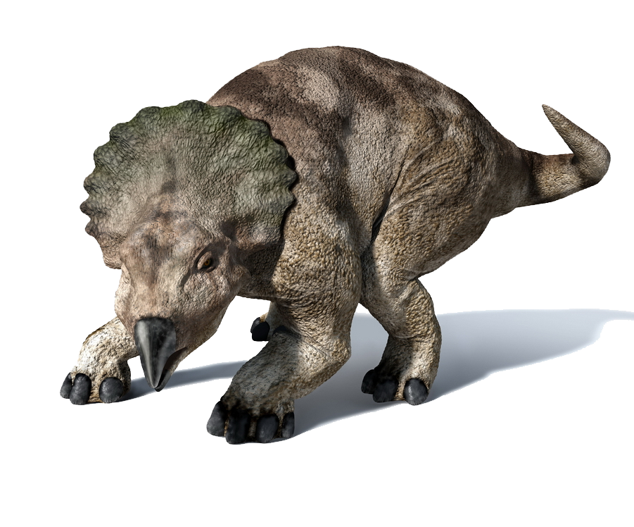 1 horned triceratops