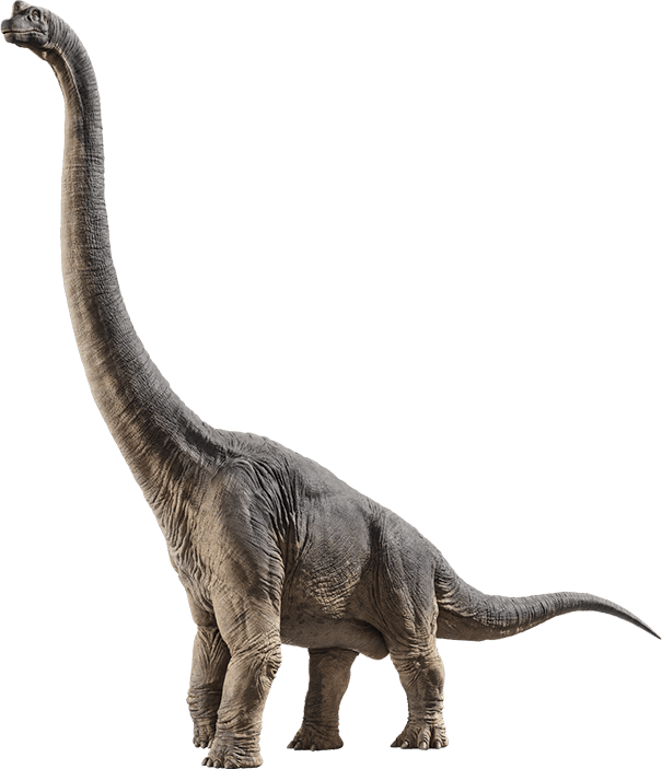 a brachiosaurus