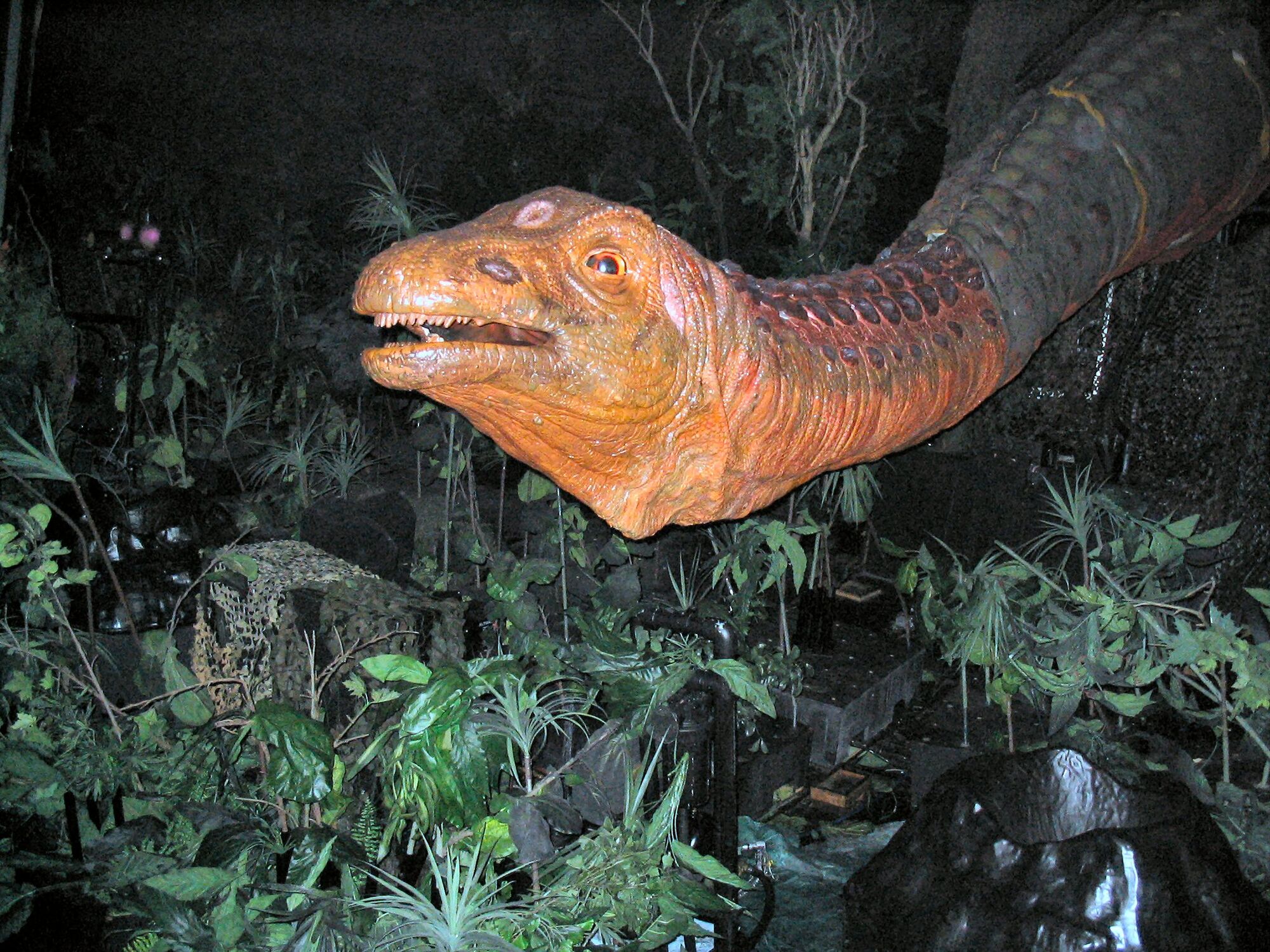 Saltasaurus Dinosaur Wiki FANDOM Powered By Wikia saltasaurus-dinosaur-wiki-fandom-powered-by-wikia