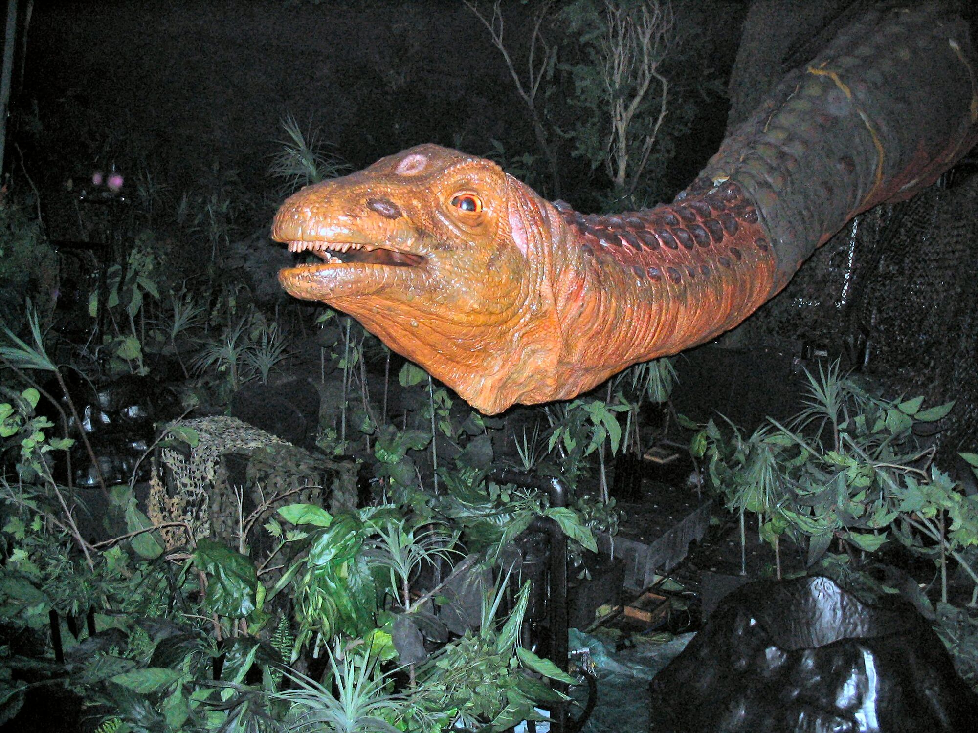 saltasaurus