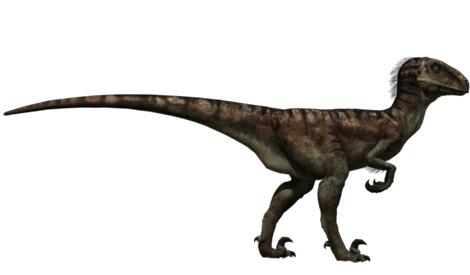 Image result for Deinonychus