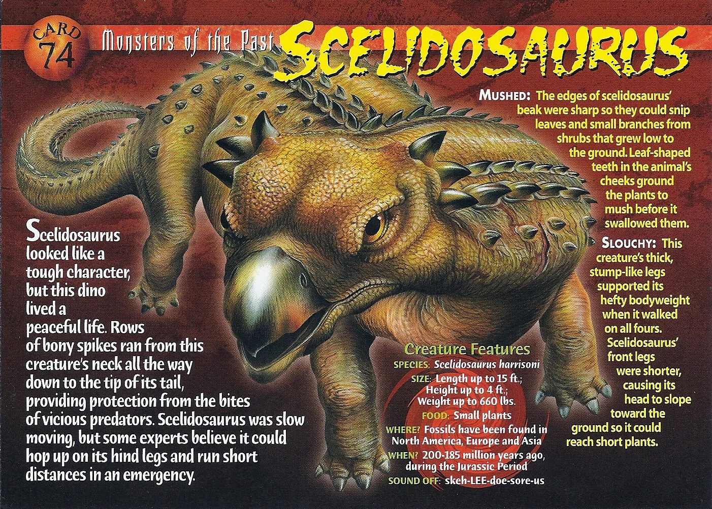 Image Scelidosaurus front.jpg Dinosaur Wiki FANDOM powered by Wikia