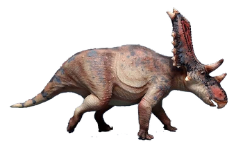 Chasmosaurus - fasrconstruction