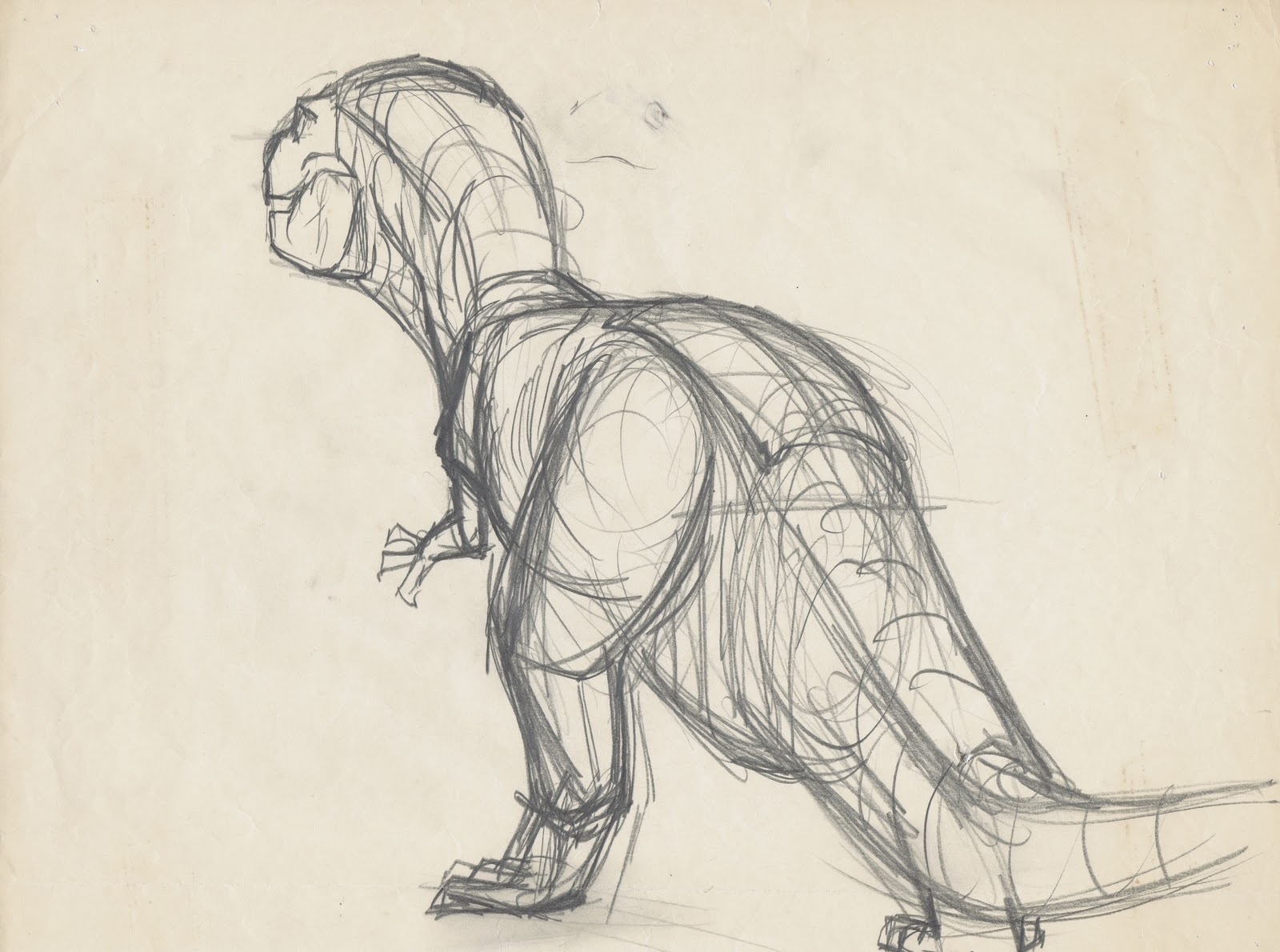 image drawing of t rex 7 jpg dinosaur wiki fandom powered by wikia