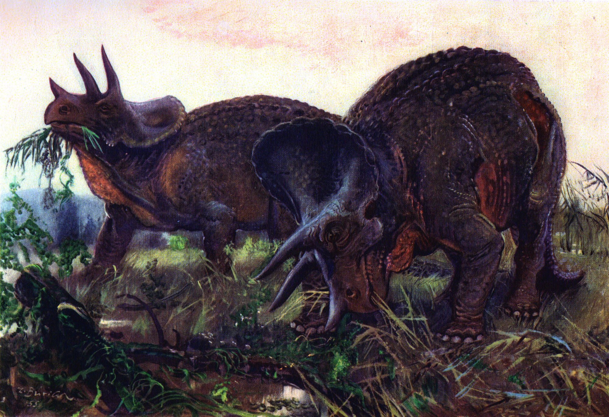 similar dinosaurs to triceratops