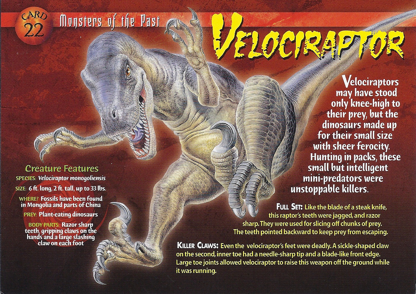 velociraptor dimensions