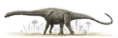 Argentinosaurus