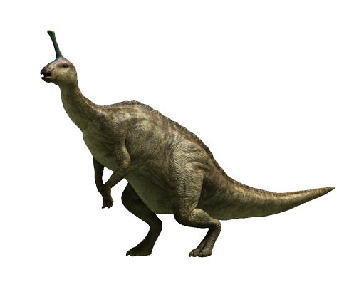 Tsintaosaurus | Dinosaur Wiki | FANDOM powered by Wikia