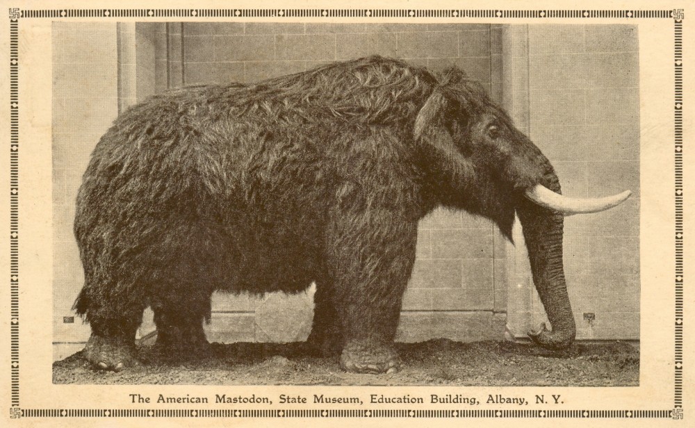 American Mastodon | Dinosaur Wiki | Fandom