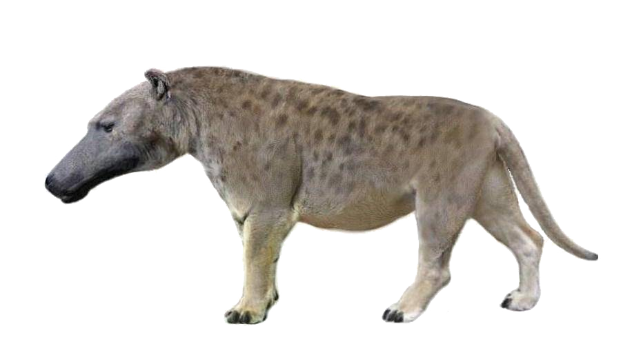 safari ltd andrewsarchus