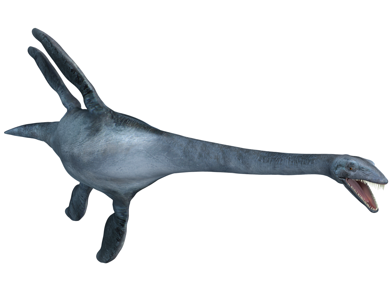 plesiosaur sea dinosaurs