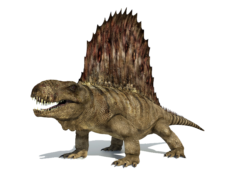 dinosaur with large fin on back