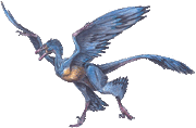 Microraptor gui