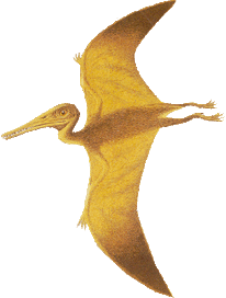 Pterodactylus2