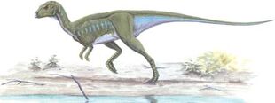 Orodromeus
