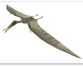 walking with dinosaurs ornithocheirus