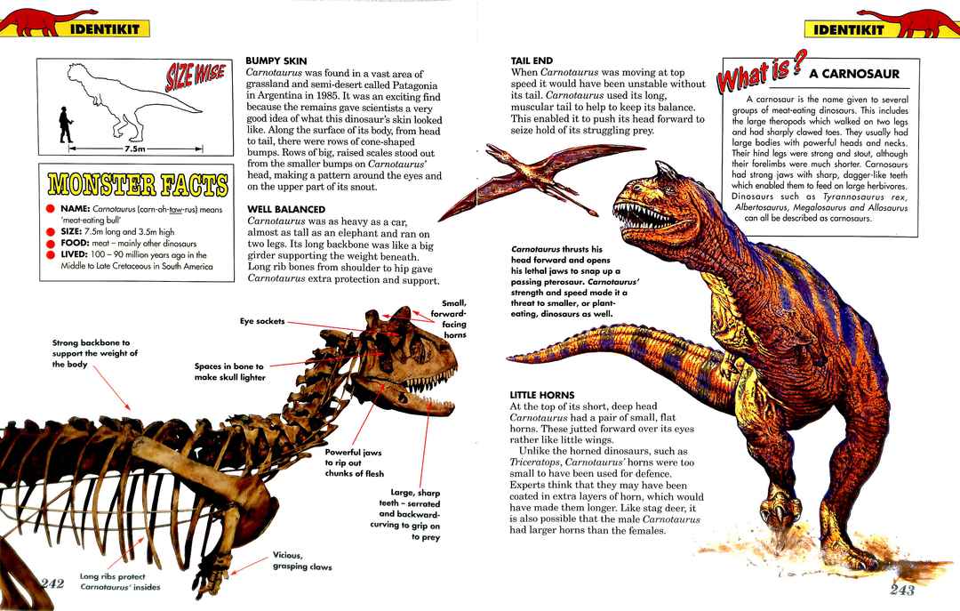 carnotaurus 2