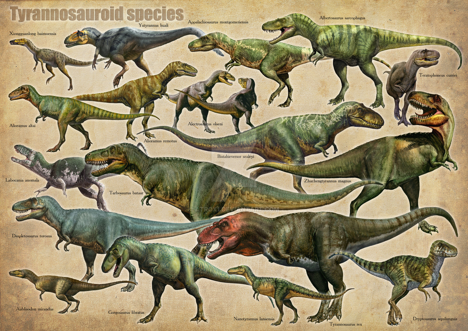 t rex family