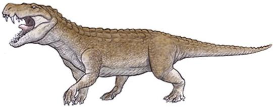 Kaprosuchus Wiki Dino Fandom Powered By Wikia