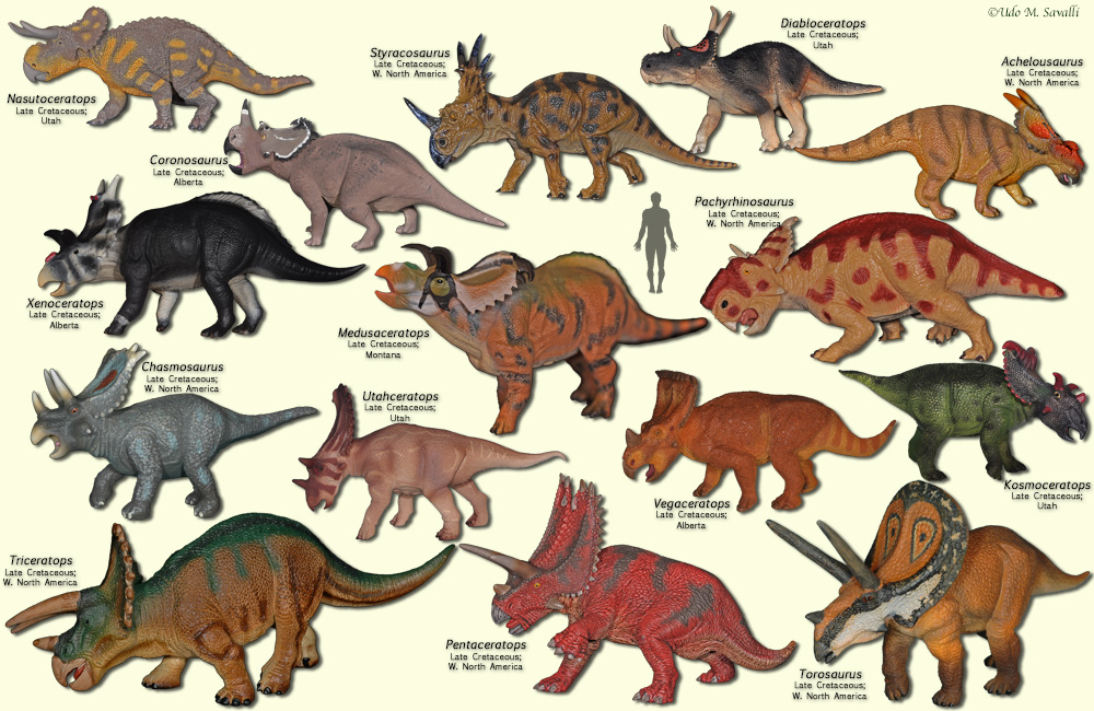 various species of dinosaurs