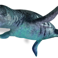 Liopleurodon Dinosaur Wiki Fandom