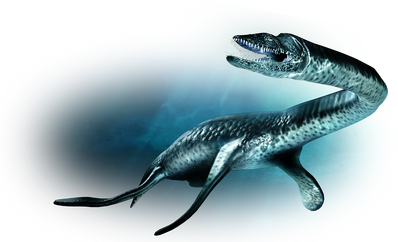 Marine reptile-large