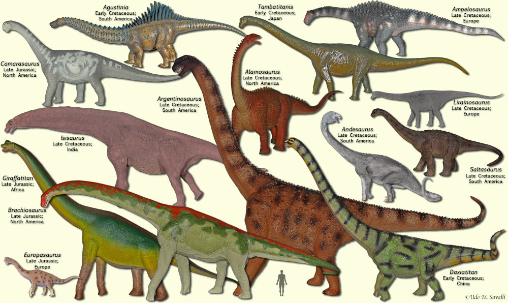 different types of herbivore dinosaurs