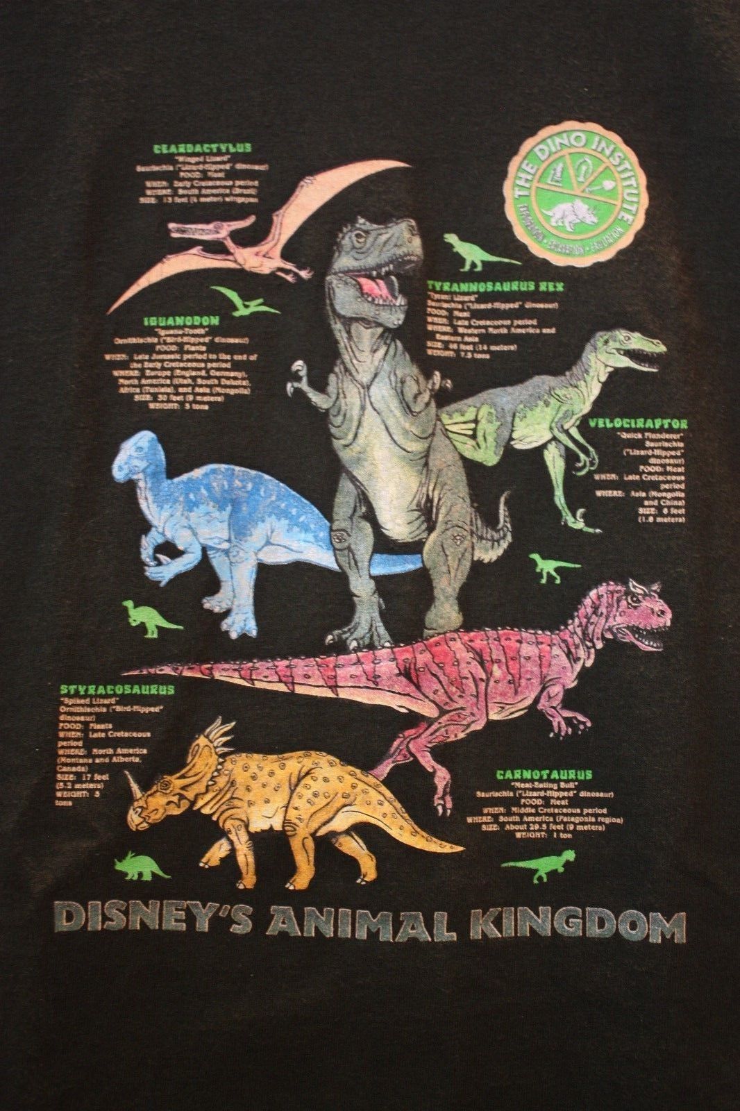 Image - Walt Disney World Animal Kingdom Dinosaur T-Shirt.jpg