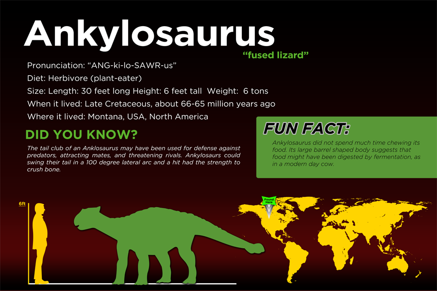 about ankylosaurus