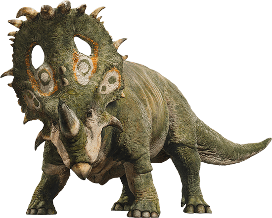 sinoceratops fossil
