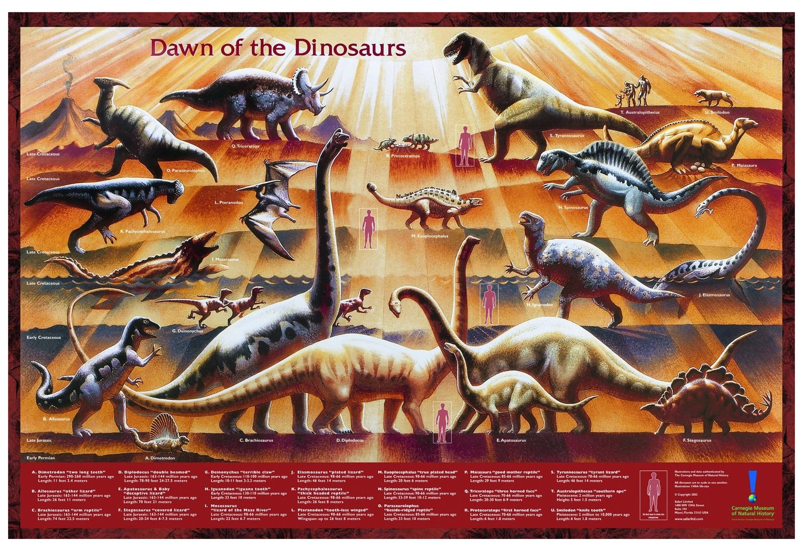 Carnegie collection Dinosaur Wiki FANDOM powered by Wikia