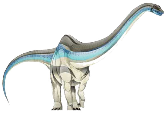 rebbachisaurus