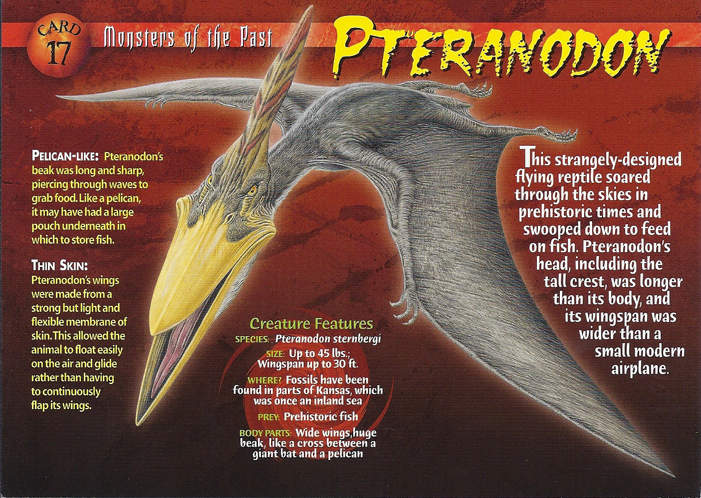 the pteranodon