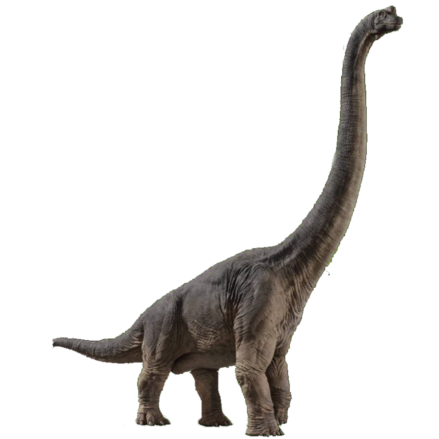 dinosaur with long back of head
