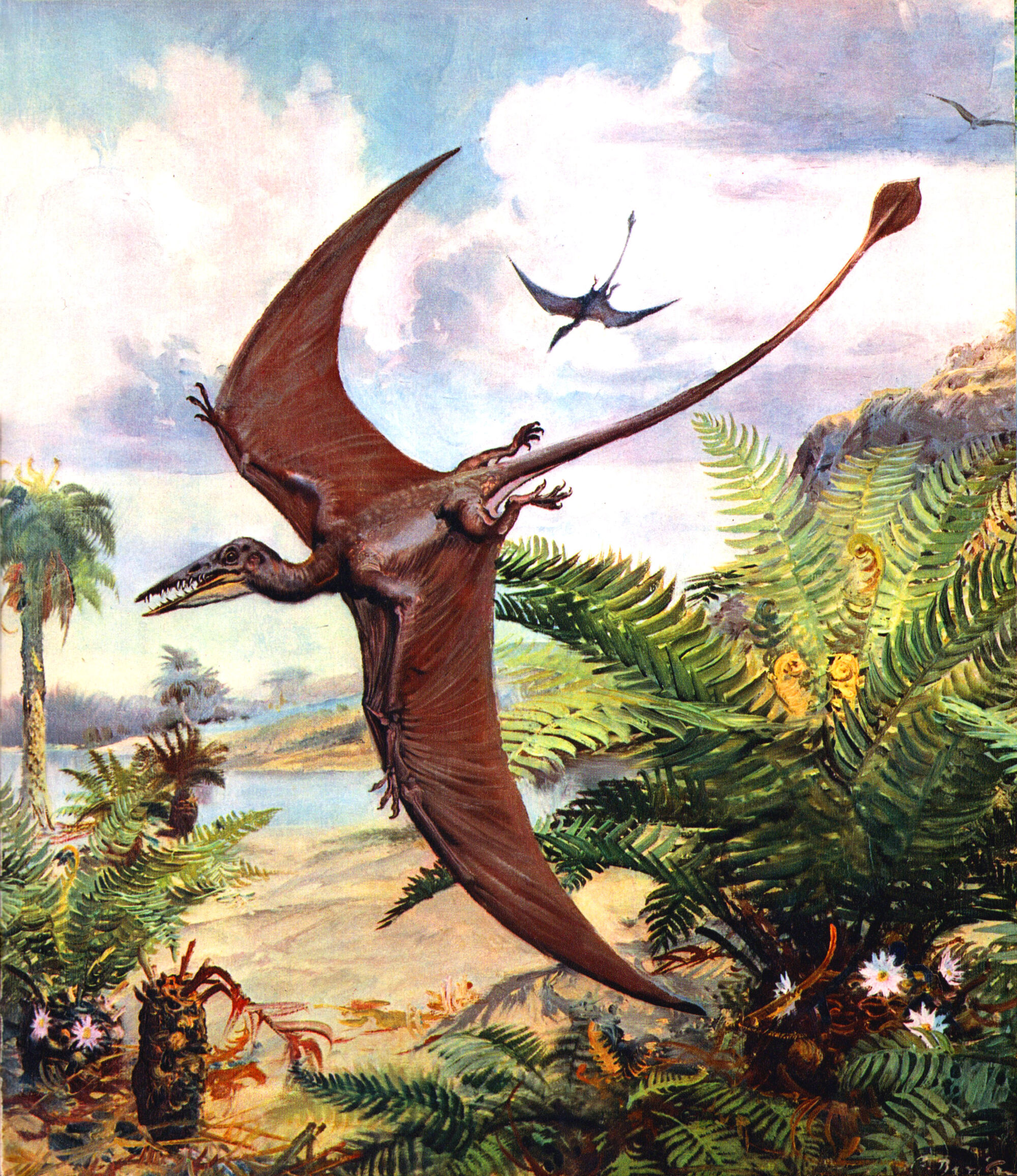 walking with dinosaurs rhamphorhynchus