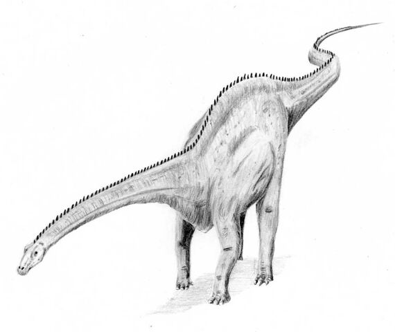 File:Diplodocus4.jpg