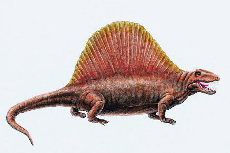 dinosaur with the fin on its back