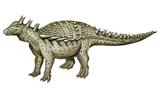 hard shell head dinosaur