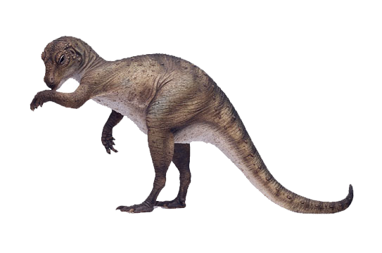 small herbivore dinosaurs