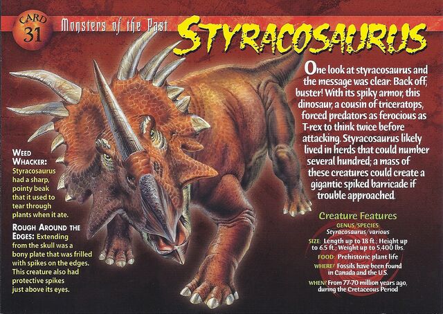 styracosaurus fossil